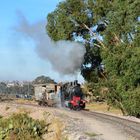 Ein B-Kuppler bei Asmara/Eritrea