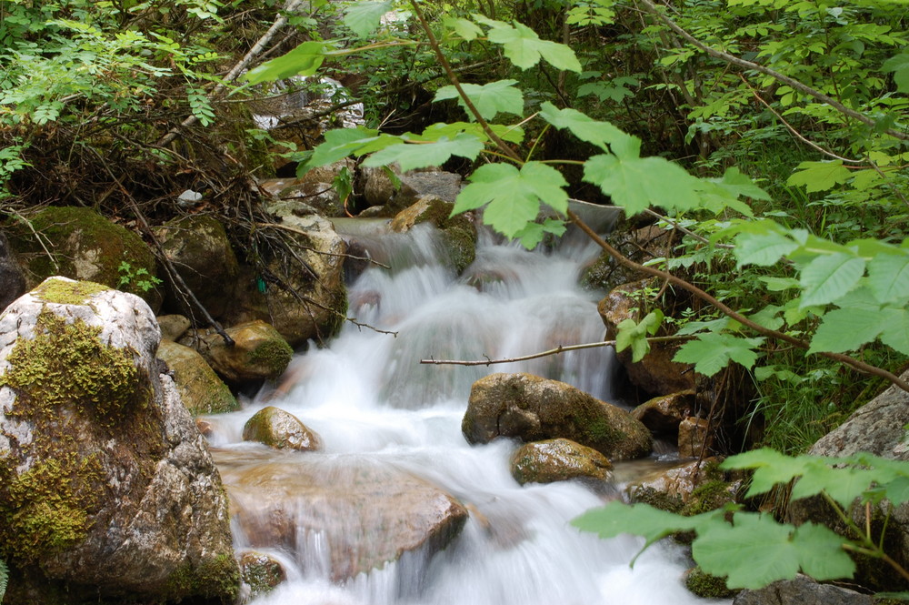 ein Bach am Königsee