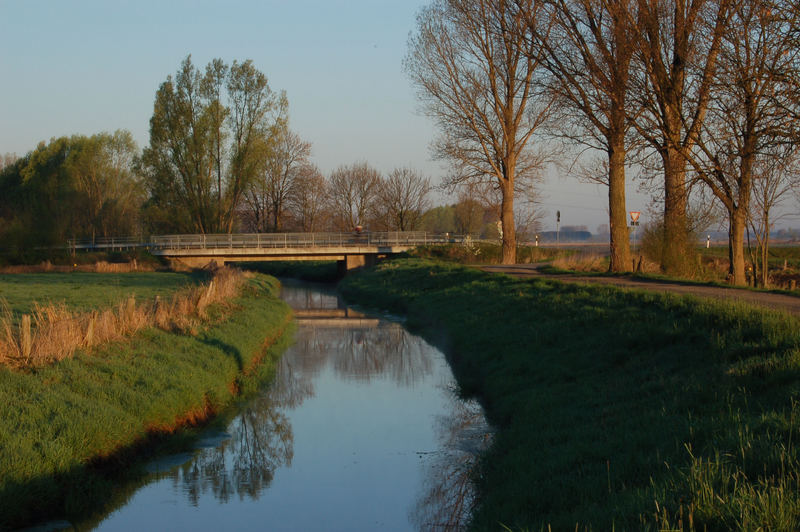 Ein Bach am Morgen in Hille-Hartum