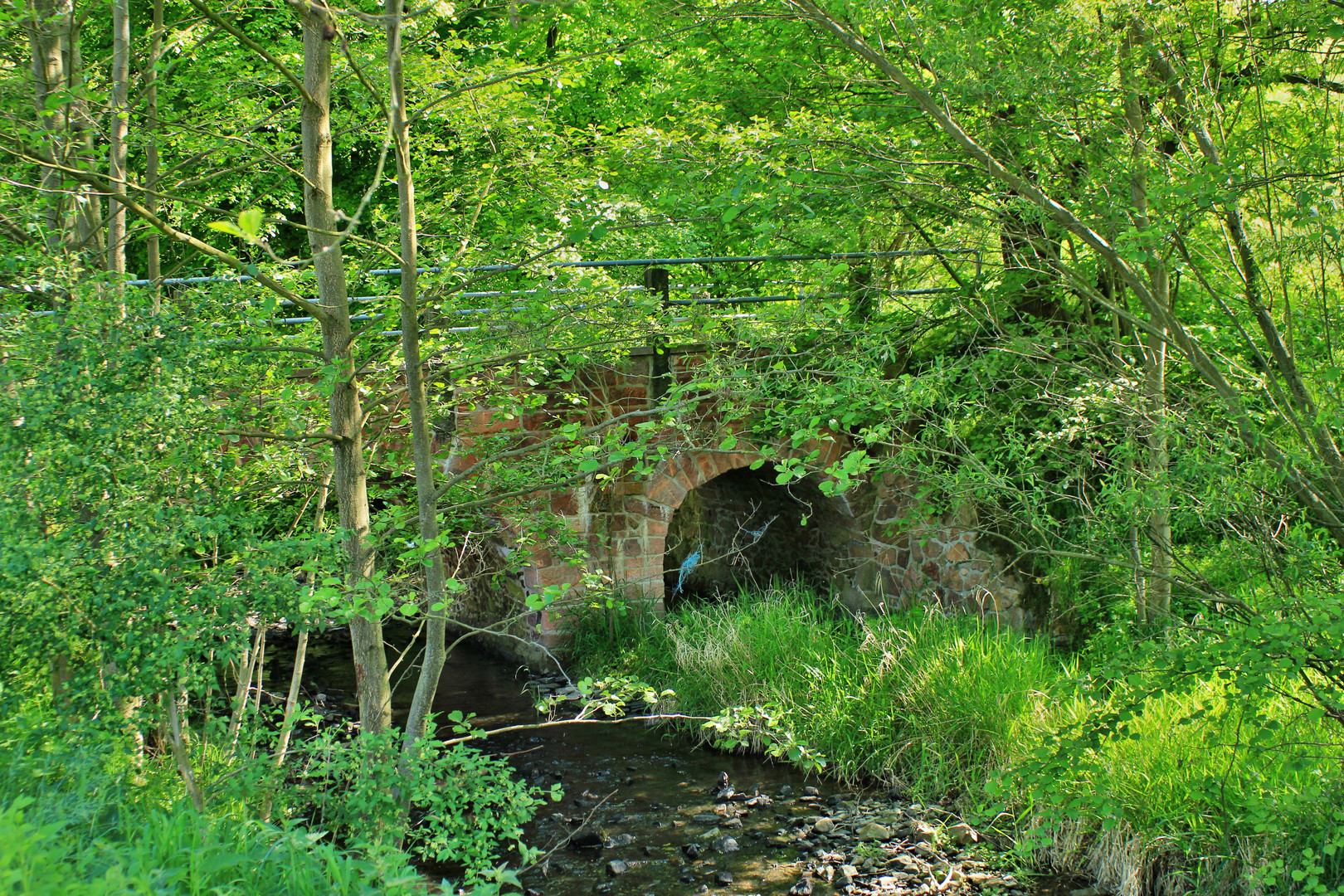 Ein Bach auf dem Weg zur Mulde