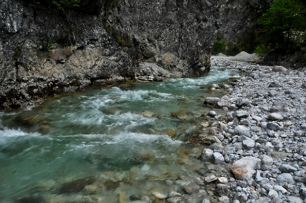 ein Bach der noch in seiner Ursprünglichkeit fließen darf