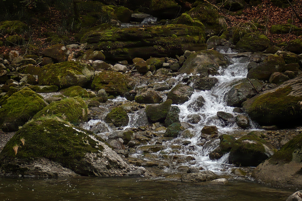 Ein Bach geht zum Fluss