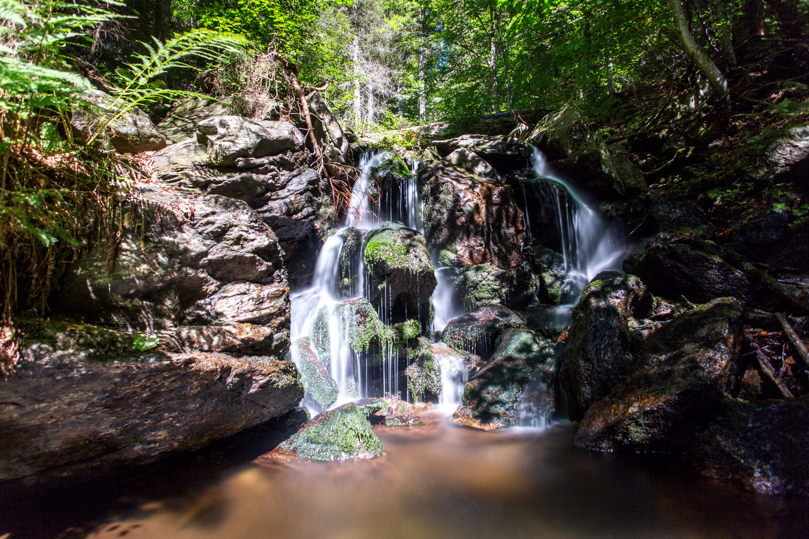 ein Bach im Bay. Wald