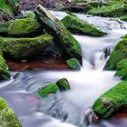 Ein Bach im Harz