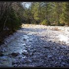 Ein Bach im Nationalpark Berchtesgaden