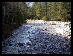 Ein Bach im Nationalpark Berchtesgaden