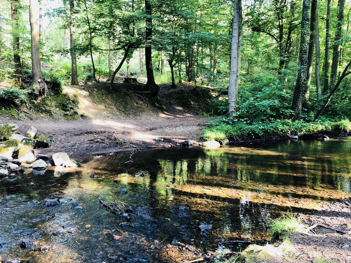 Ein Bach im Wald