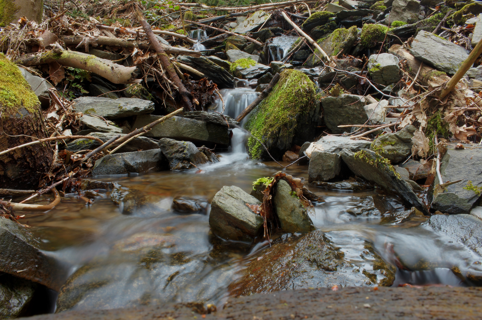 Ein Bach im Wald