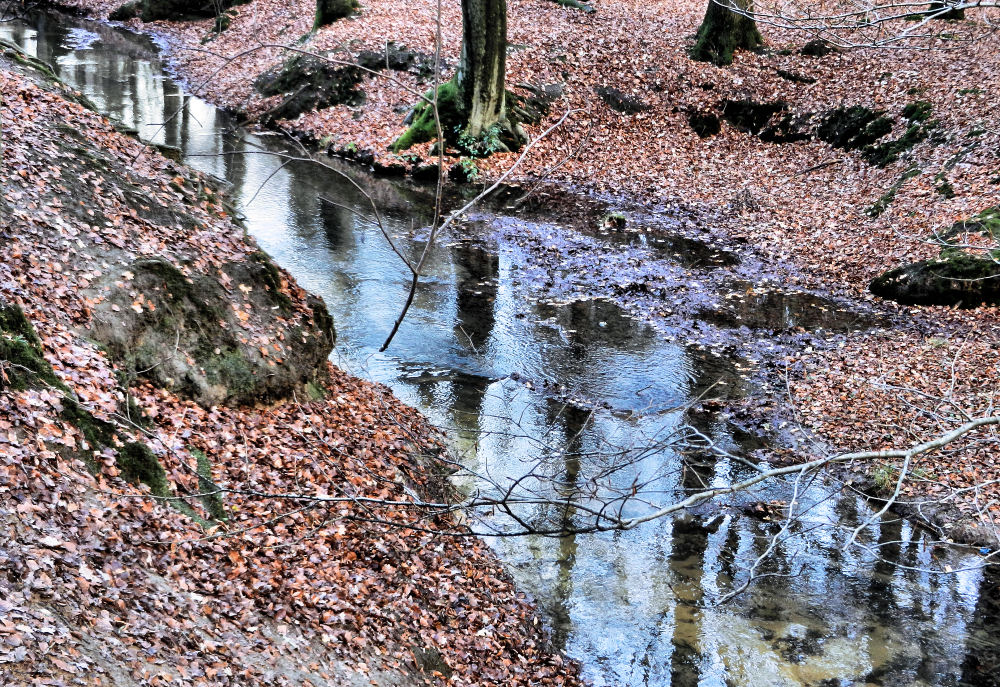 Ein Bach im Winter ohne Eis