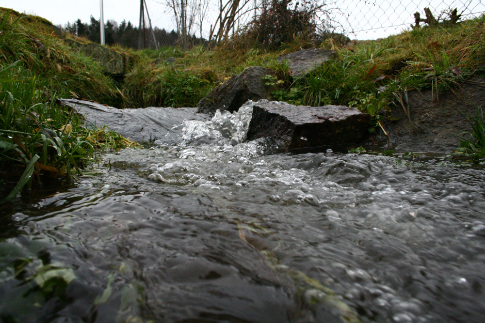 Ein Bach in Trebgast