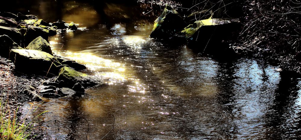 Ein Bachlauf im Herbst / Un ruisseau à l'automne