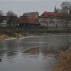 Ein Bad an der Eiskante