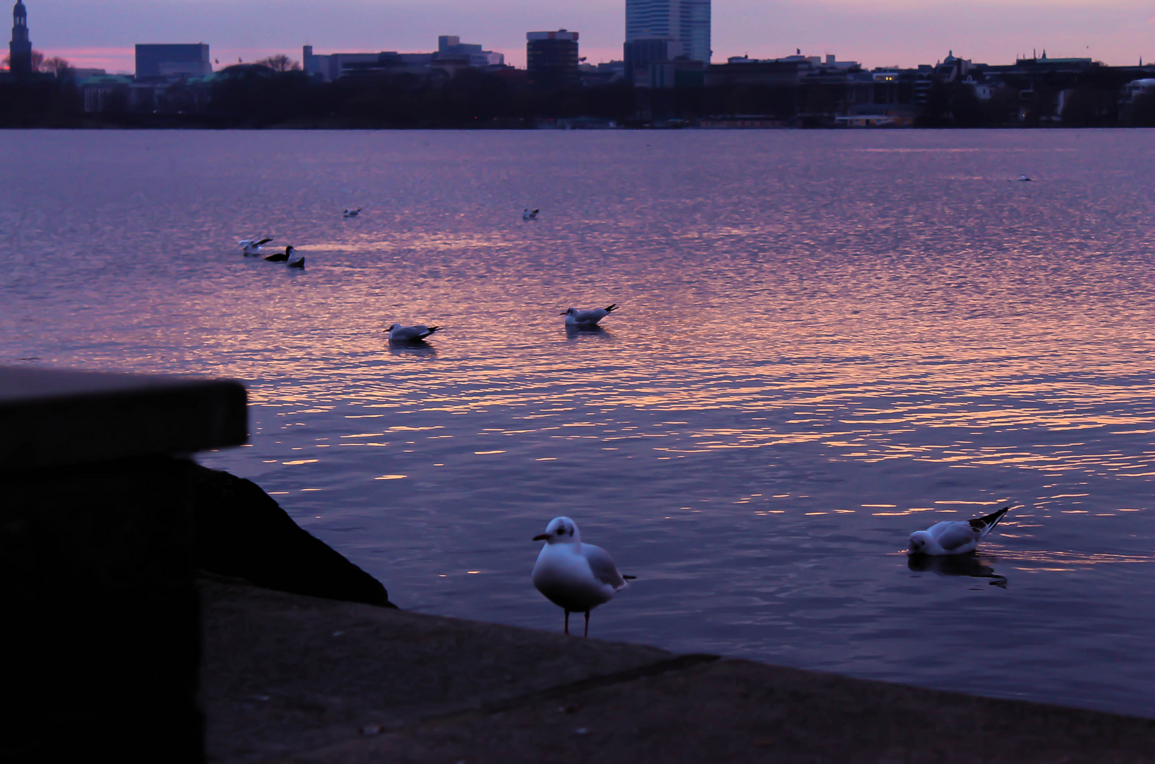 ein Bad im Sonnenuntergang