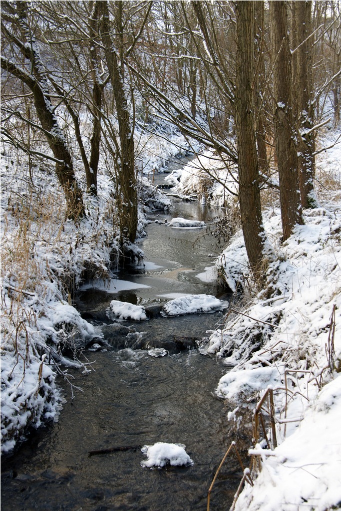 Ein Bächlein