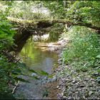 Ein Bächlein im Nordschwarzwald...