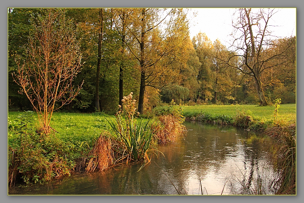 Ein Bächlein im Park