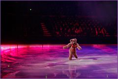 Ein Bär auf dem Eis