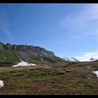 Ein Bär auf der Melchsee-Frutt