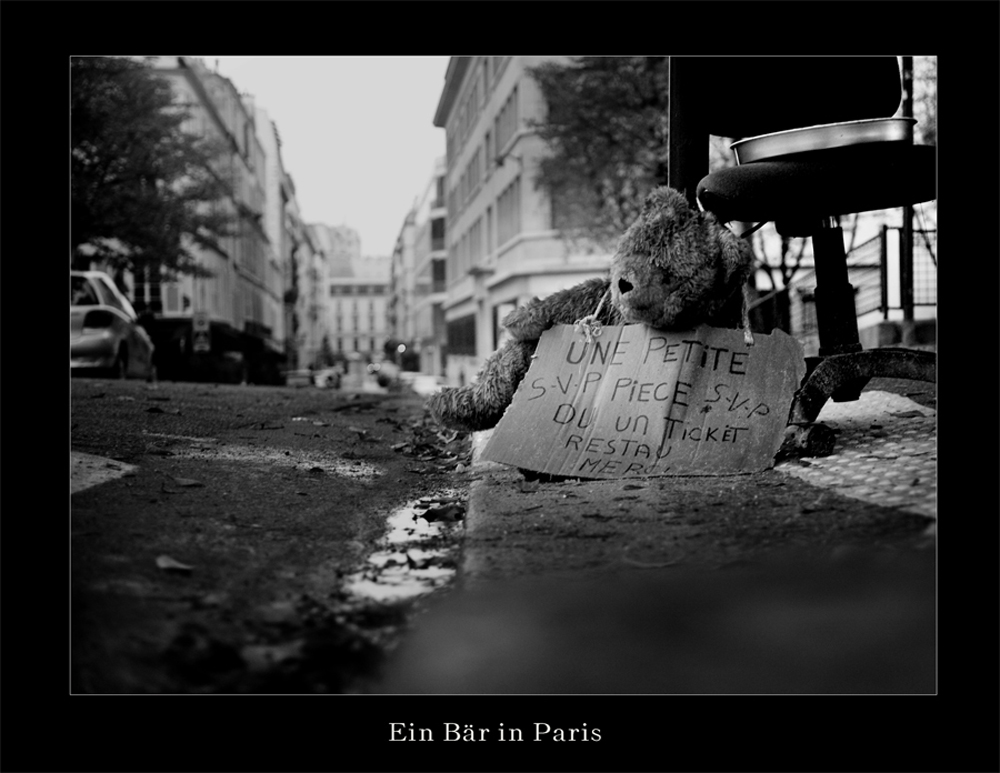 Ein Bär in Paris