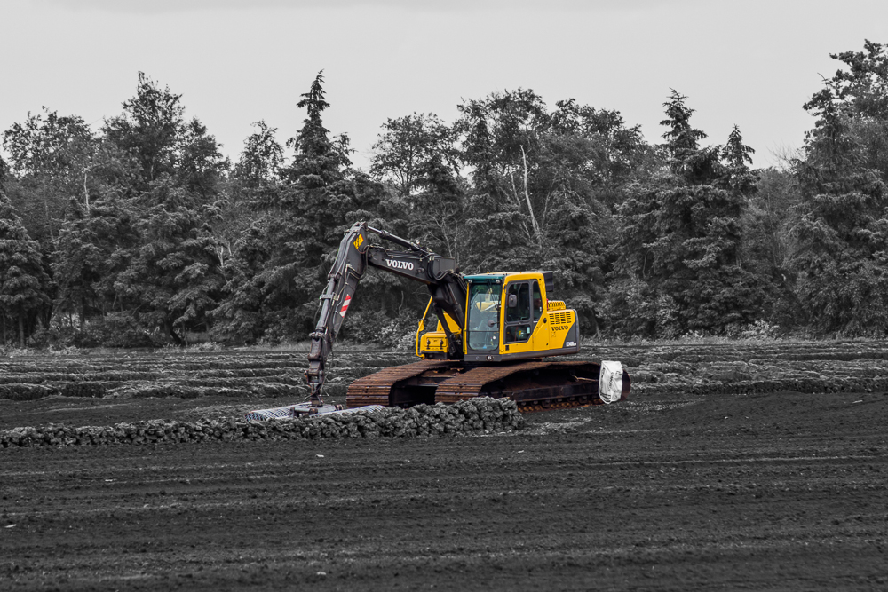 Ein Bagger im Moor