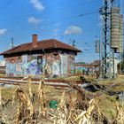 Ein Bahnhof im Kornfeld