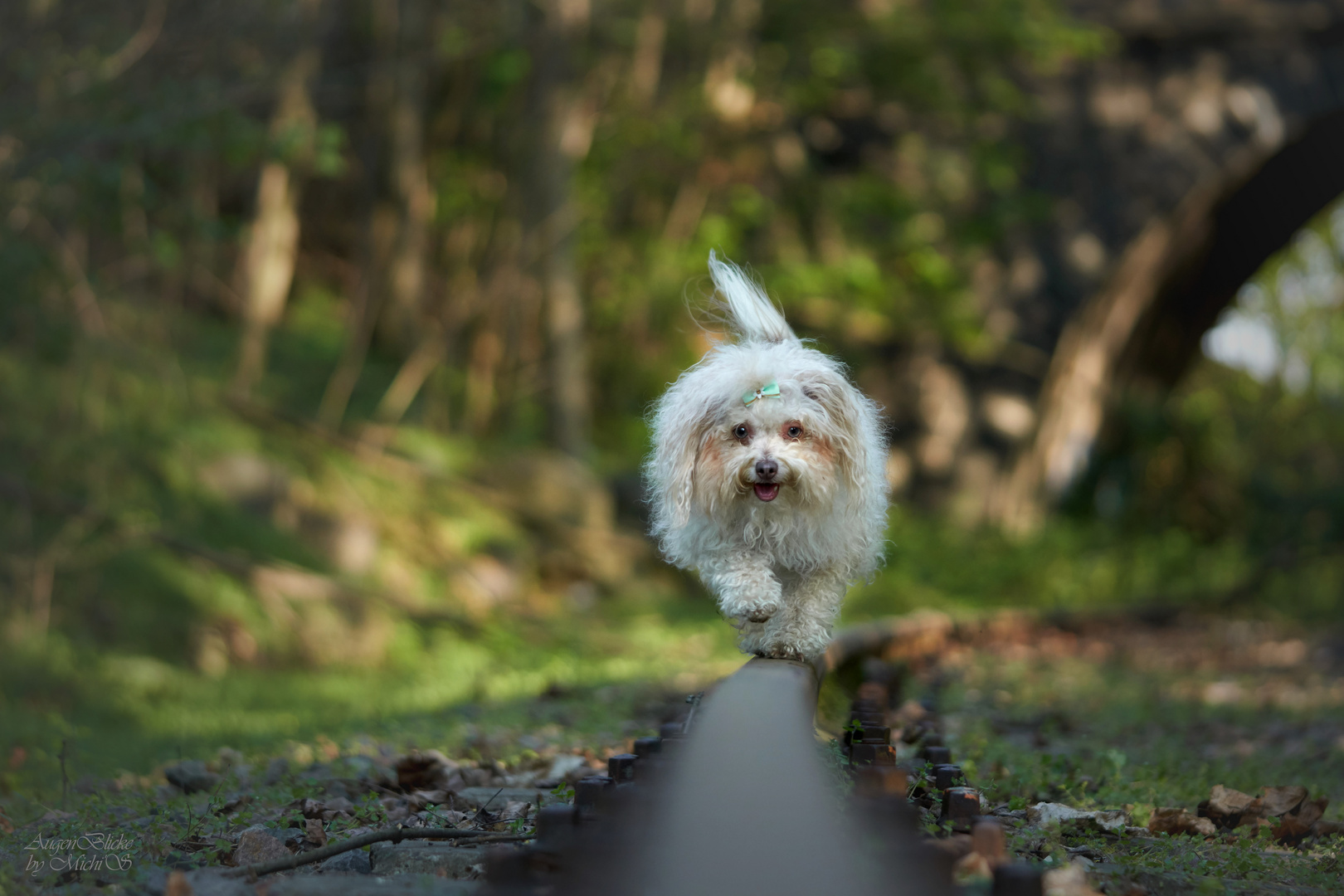 Ein Balanceakt