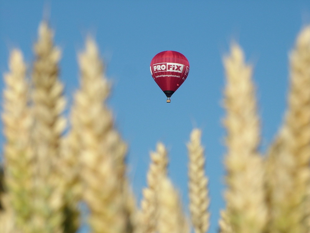 Ein Ballon im Kornfeld ist immer dabei den des ist Sommer ...