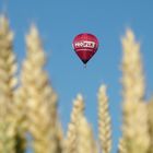 Ein Ballon im Kornfeld ist immer dabei den des ist Sommer ...