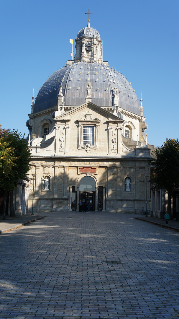 Ein Basiliek aus Belgien