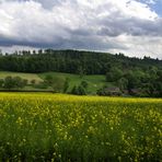 ....ein Bauer stand im Sauerland und dachte drüber nach.....