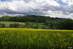 ....ein Bauer stand im Sauerland und dachte drüber nach.....