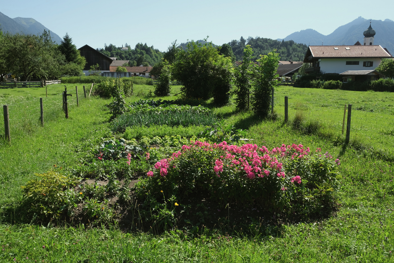 Ein Bauerngarten