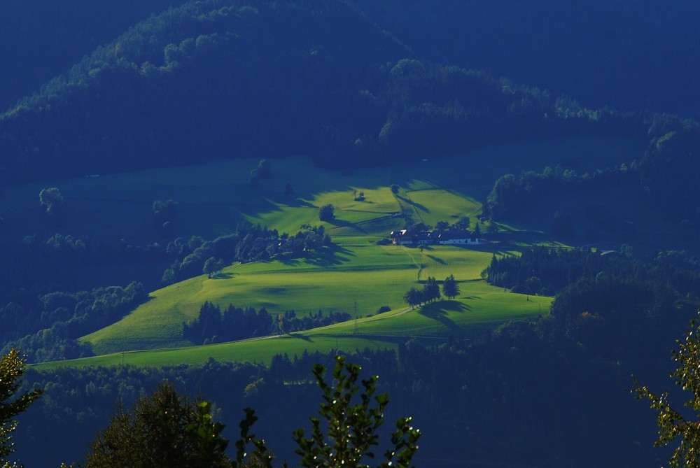 ein Bauernhof und sein sonniges Paradies