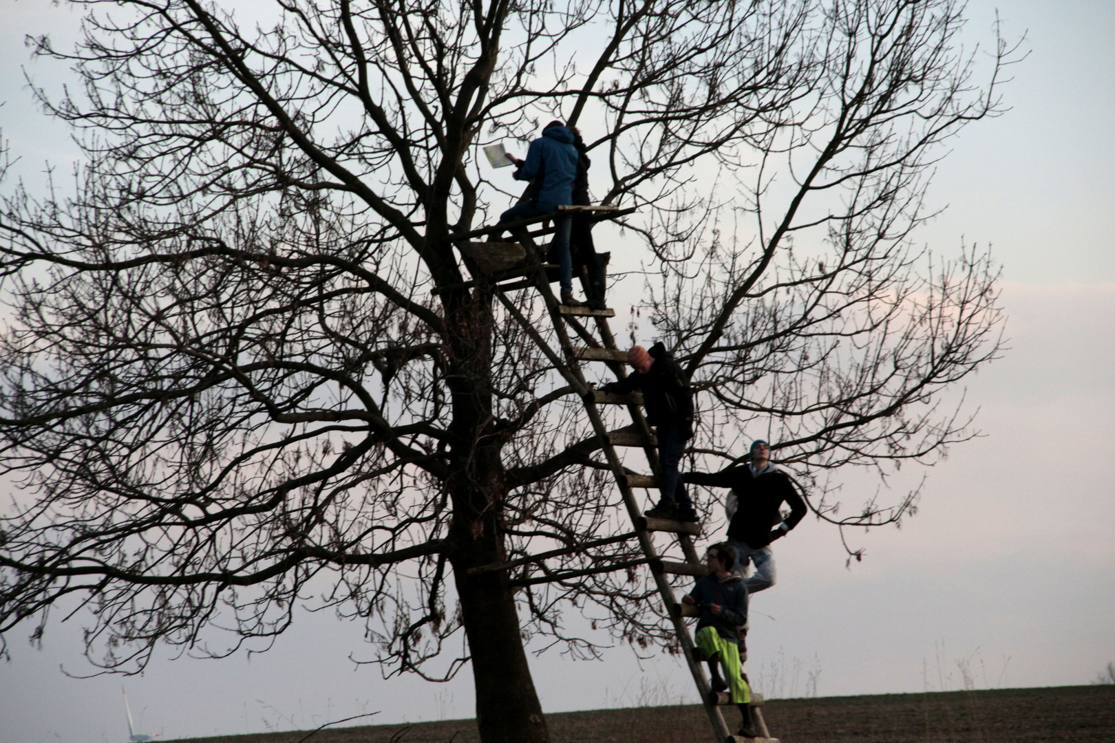 Ein Baum