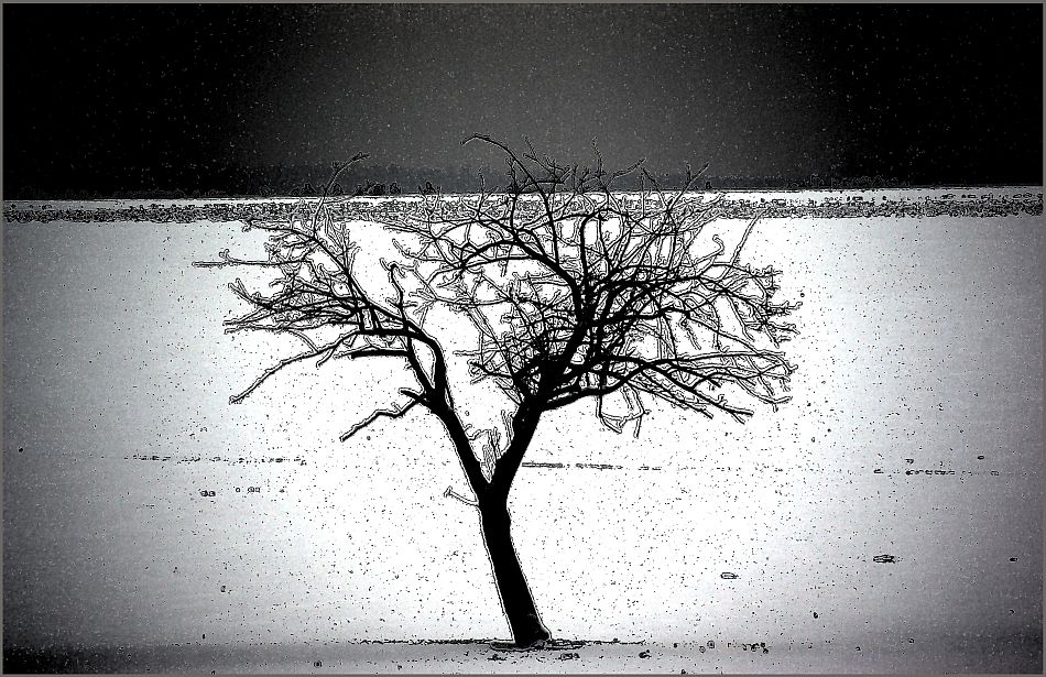 - Ein Baum -