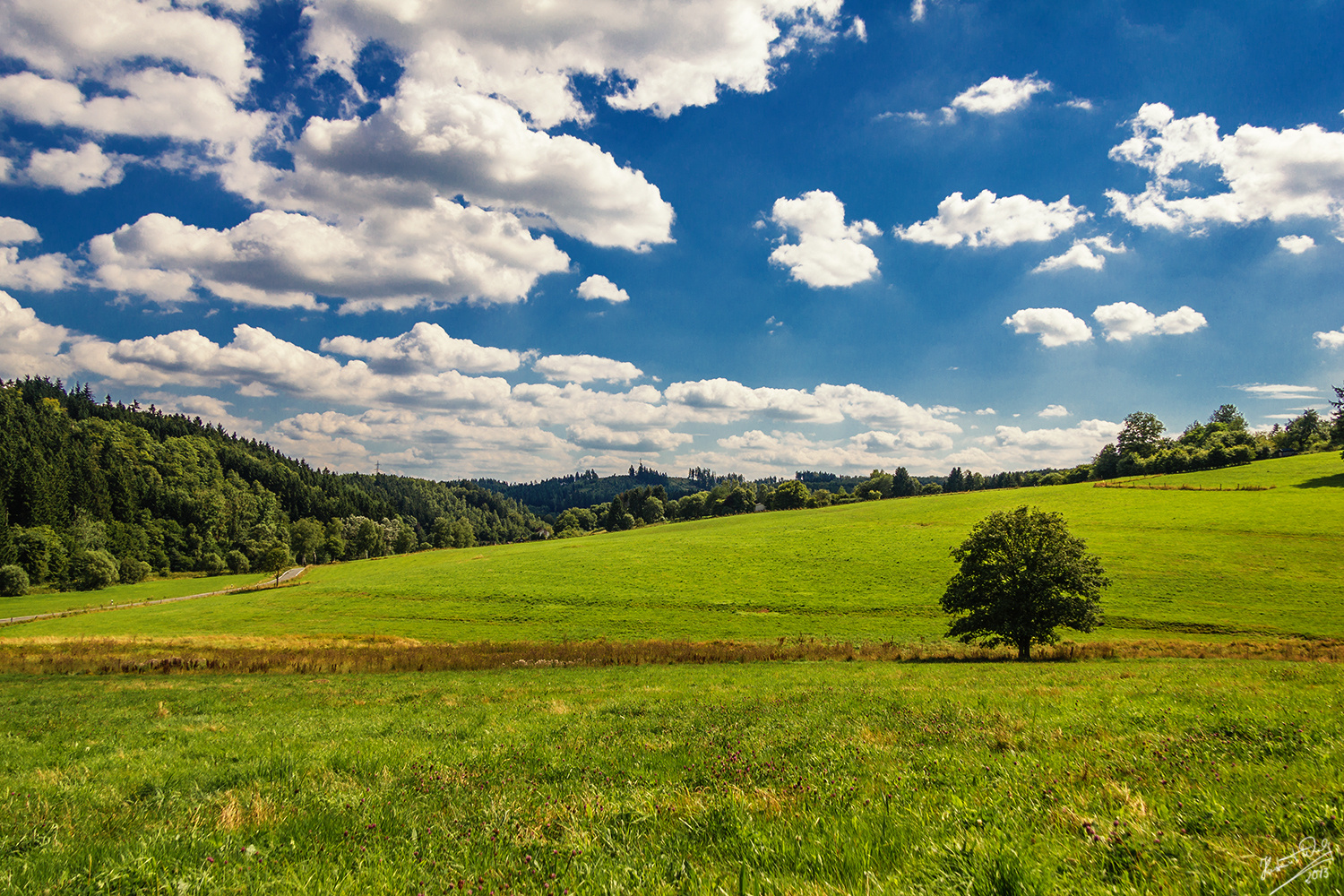 Ein Baum