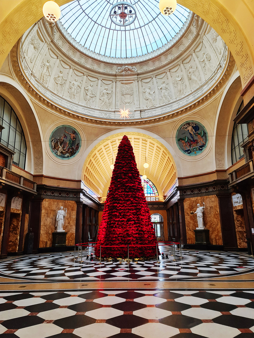 Ein Baum aus Weihnachtssternen