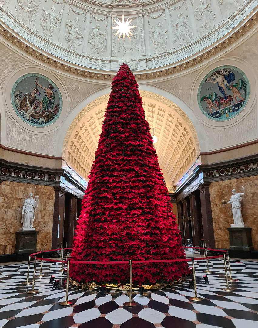 Ein Baum aus Weihnachtssternen