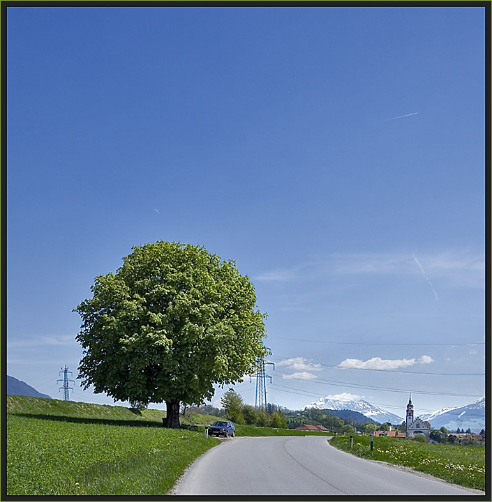 ein baum