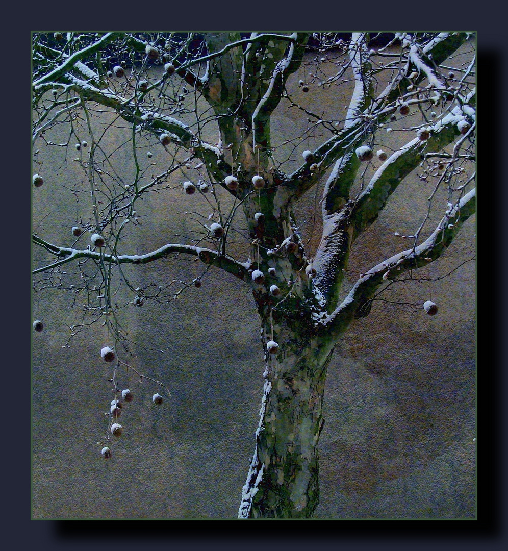 ein Baum