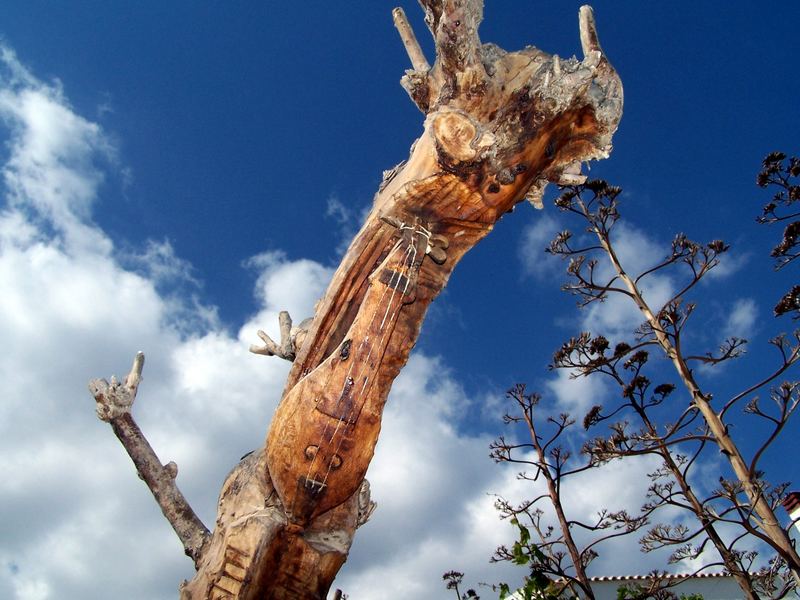 ein Baum der Geschichte erzählt