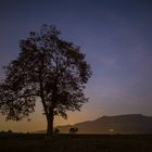 Ein Baum, die Burg und die Lichter der Nacht