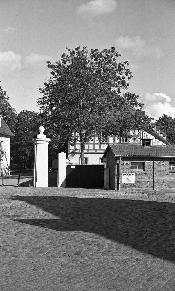 ein baum ein haus