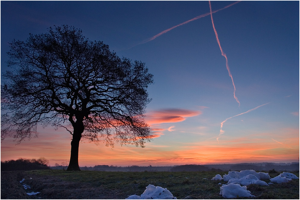 ein Baum, ein Kreuz und der Rest vom Schneemann