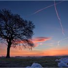 ein Baum, ein Kreuz und der Rest vom Schneemann