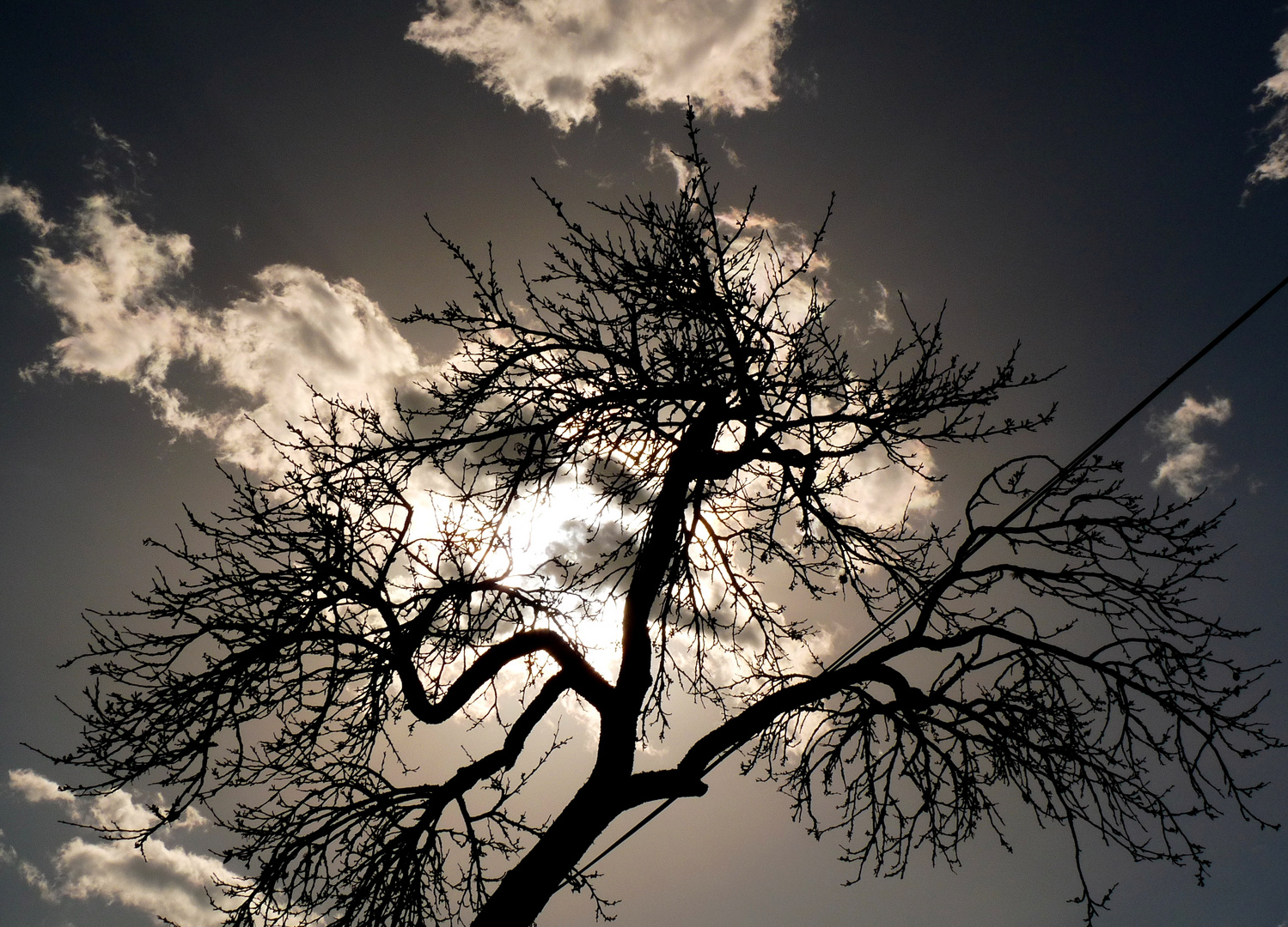 ein baum hält sich fest