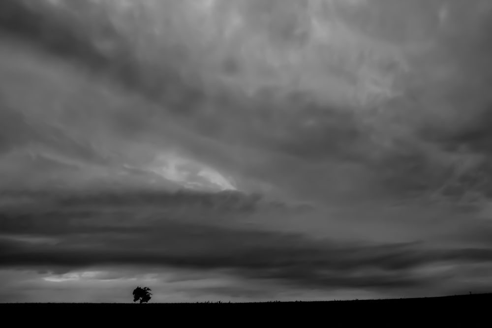 ein Baum im Auge des Sturms I