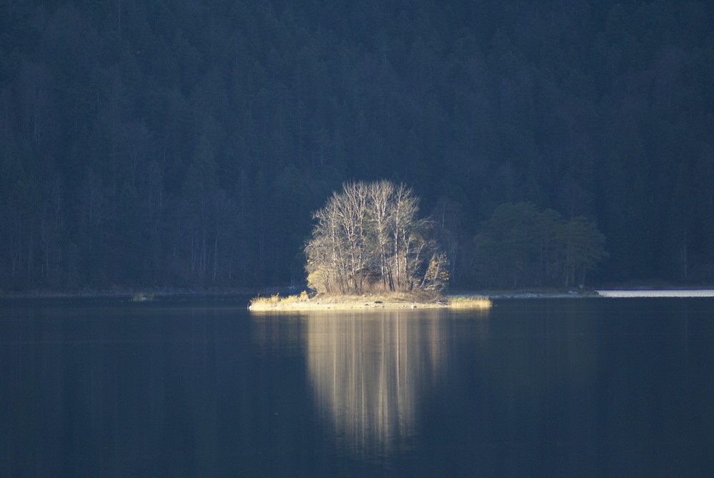 Ein Baum im See