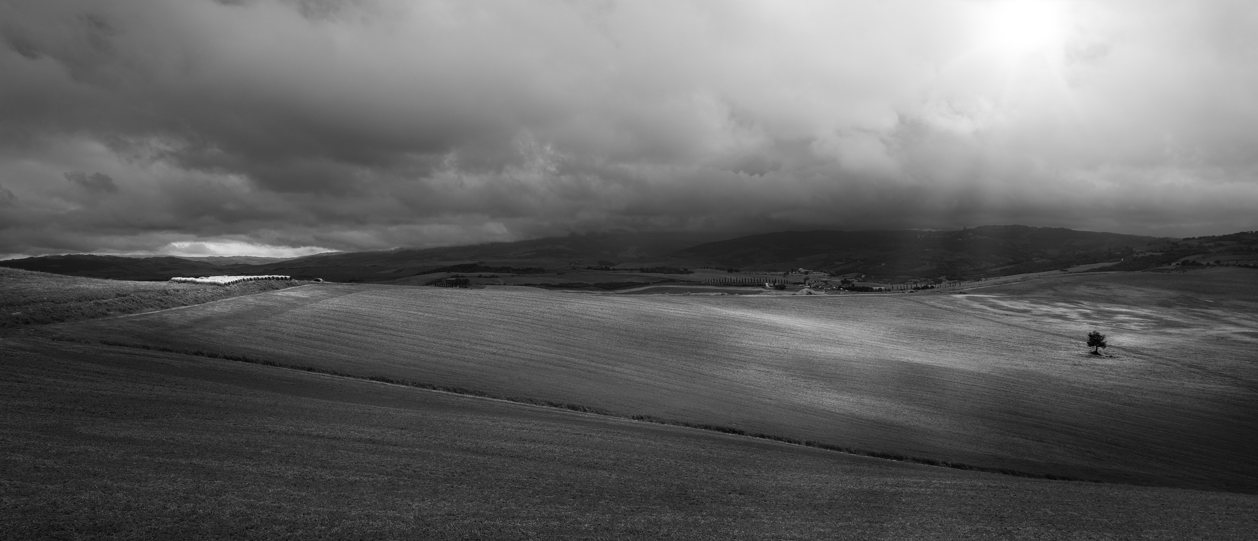 " ein Baum in der Landschaft "