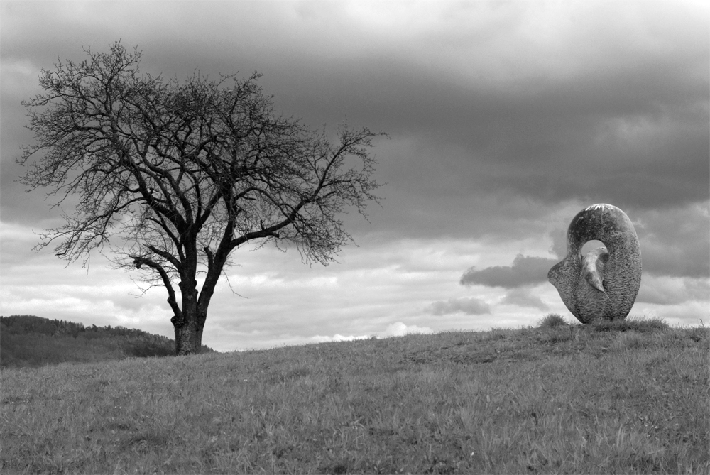 Ein Baum mit Begleitung